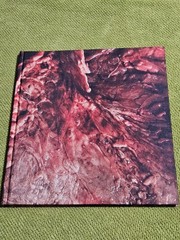 GUTS by Tim Palen RARE Horror/Photography HB Book – Saw Hostel Eli Roth- VF/NM!