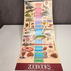 Prehistoric ZOOBOOKS 1989 First Edition Family Guide Case Book Set 1-10 Poster