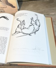 Bakker. The Dinosaur Heresies : New Theories Unlocking the Mystery of Dinosaurs