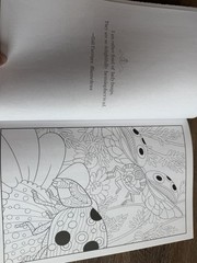 COLORFUL ESCAPES – The Colors of Summer! Vol. 25 – Adult Coloring Book- 31 Pages
