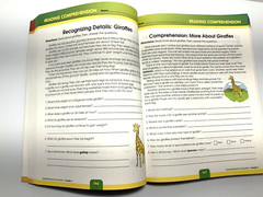 Comprehensive Curriculum of Basic Skills, Grade 4 Ages 9-10 (544 pages)