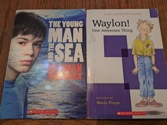 BOYS Chapter Books Lot of 8 ~ 8-12 Years Old – Classroom Library Homeschool