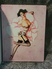 Malibu Cheesecake Pinup Art of Olivia Hardcover Ozone Productions 2011 1st Print