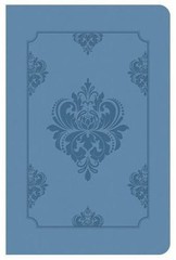 Holy Bible: KJV Deluxe Gift & Award Bible, Light Blue, Red Letter Edition New