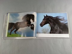 Horses Photo Book Parragon 2010 Illustrated Majestic Animals Equestrian