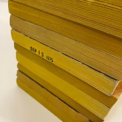 SciFi Novels 31 Book Lot DAW VTG MMPB Jack Vance Andre Norton Brian M Stableford
