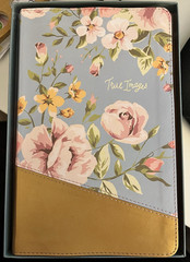 NIV, True Images Bible, Imitation Leather, Blue/Gold: The Bible for Teen Girls