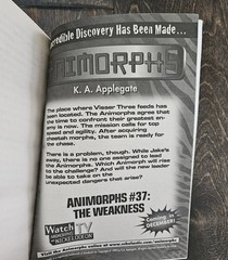 Lot Of 25 Animorphs Books- 1996-2001 See Photos For Titles