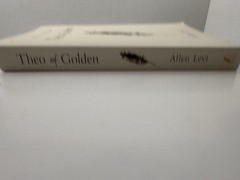 Theo of Golden Allen Levi Paperback Book 2023 Used