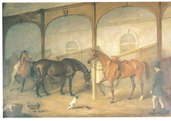 HORSE PAINTINGS: A Book of 30 Postcards By Pavilion Books, Famous Artists