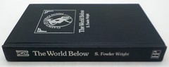 THE WORLD BELOW S Fowler Wright Hyperion Press HC 1976