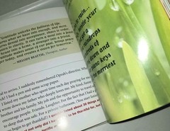 Attitude Is Everything 10 Rules For Staying Positive A Book By Vicki Hitzges