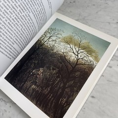 Henri Rousseau by Roger Shattuck [1st Edition · 1985] MoMA