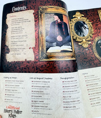 The Unofficial Harry Potter Knits ~ Magical 30+ Projects ~ (Special Issue 2013)