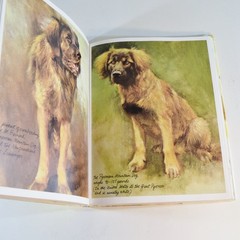 Rien Poortvliet – DOGS – Vintage 1983 Hardcover Art Book