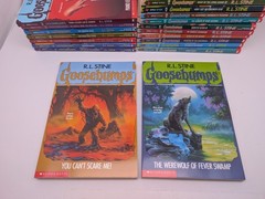 LOT OF 30: Vintage 90s RL Stine GOOSEBUMPS Books VG/EX All Different + Extras