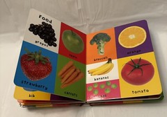 First 100 Words : A Padded Board Book by Roger Priddy — Bulk set of 3 Books