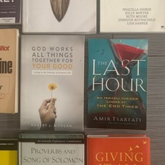 Mega Christian Book Lot of 12 Bible Study Devotional Louie Giglio Shirer Elliot