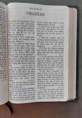 Holy Bible Premium Bonded Leather B&H KJV Giant Print Edition Red Letter 1982 VG