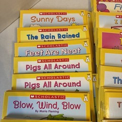 Little Leveled Readers by Scholastic Kids Books Lot Of 100+ Plz Read