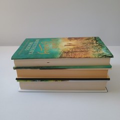 Maeve Binchy 3x Bundle 1st Edition Hardcover Whitethorn Woods Quentins Tara Road