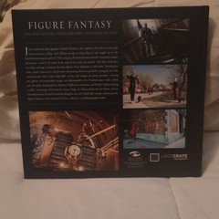 Insight Editions Figure Fantasy: Pop-Culture Photography Daniel Picard HC Illus