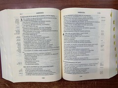 BIBLIA DE JERUSALEN.CATOLICA EN LETRA GRANDE REVISADA Y AUMENTADA CON INDICE