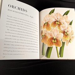 Botanicals : Butterflies and Insects by Leslie K. Overstreet (2008, Hardcover)