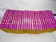 28 Rapture Romance Novels Multiple Titles Authors Numbers Paperback