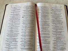 Bible NIV 1984 Thinline Burgundy Bonded Leather Good Condition