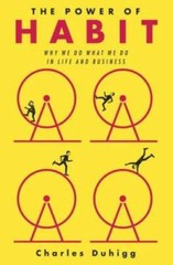 The Power of Habit: Why We Do What We Do in Life and Business – VERY GOOD