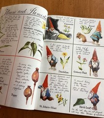 Gnomes by Wil Huygen Illustrated by Risen Poortvliet 1977 Abrams
