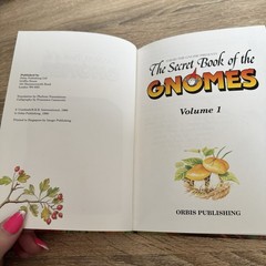 The Secret Book Of The Gnomes: Volume 1 – David The Gnome Vintage Hardcover 1990