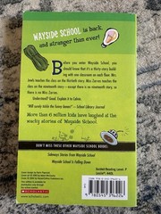 Louis Sachar Wayside School Chapter 3 Book Lot Falling Down Sideways Stranger