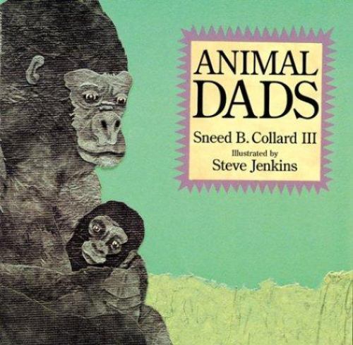 Animal Dads: An Informative Picture Book Abo- 0618032991, paperback, Collard III