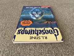 Good Thin Edition 1st print Goosebumps #56 The Curse of Camp Cold Lake ~ Stine