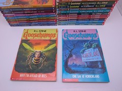 LOT OF 30: Vintage 90s RL Stine GOOSEBUMPS Books VG/EX All Different + Extras