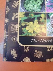 The Forager’s Guide to Wild Foods (paperback with color pictures)