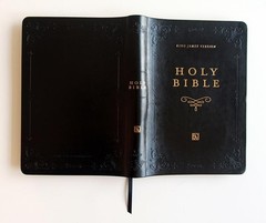 Thinline KJV Holy Bible with Giant Print and Convenient Thumb Index, 1408 Pages