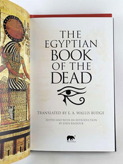 THE EGYPTIAN BOOK OF THE DEAD & TIBETAN BOOK OF THE DEAD Illustrated *Brand New*