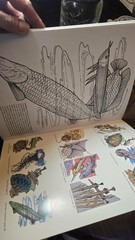 STRANGE CREATURES OF THE SEA COLORING BOOK By Llyn Hunter Doyer Coloring Book