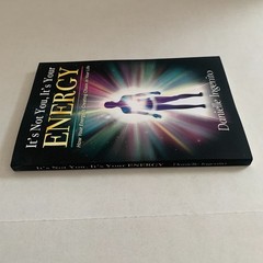 It’s Not You, It’s Your Energy Danielle Ingenito Paperback Book NEW