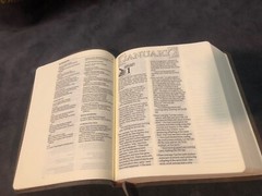 One Year Nlt New Living Translation Expressions Bible Brown Leather Journaling