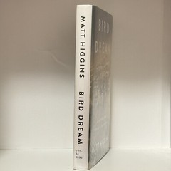 Bird Dream: Adventures at the Extremes of Human Flight By Matt Higgins Hardcover