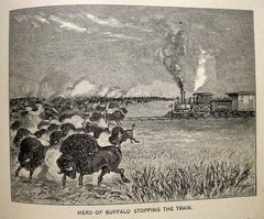 1891 OLD WEST PIONEER GUIDE CALIFORNIA NEVADA COLORADO RANCH MINING RAILROAD