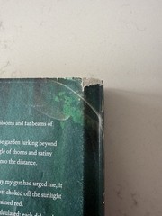 Original Cover: Court of Wings and Ruin by Sarah J Maas 1st Ed HC-DJ 2017