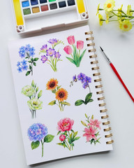 Watercolor Workbook, Water Coloring Book for Adult &Teens Beginners,15 Beautiful