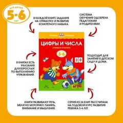 Грамотейка. Интеллектуальное развитие детей 5-6 лет Земцова