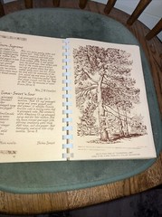 1967 Southern New Jersey Regional Cookbook Thick Tan Pb 255 Pages. 450 recipes