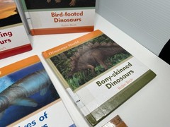Set of 6 Dinosaur World Books Robin Birch Ex-Lib Teacher Homeschool Reading